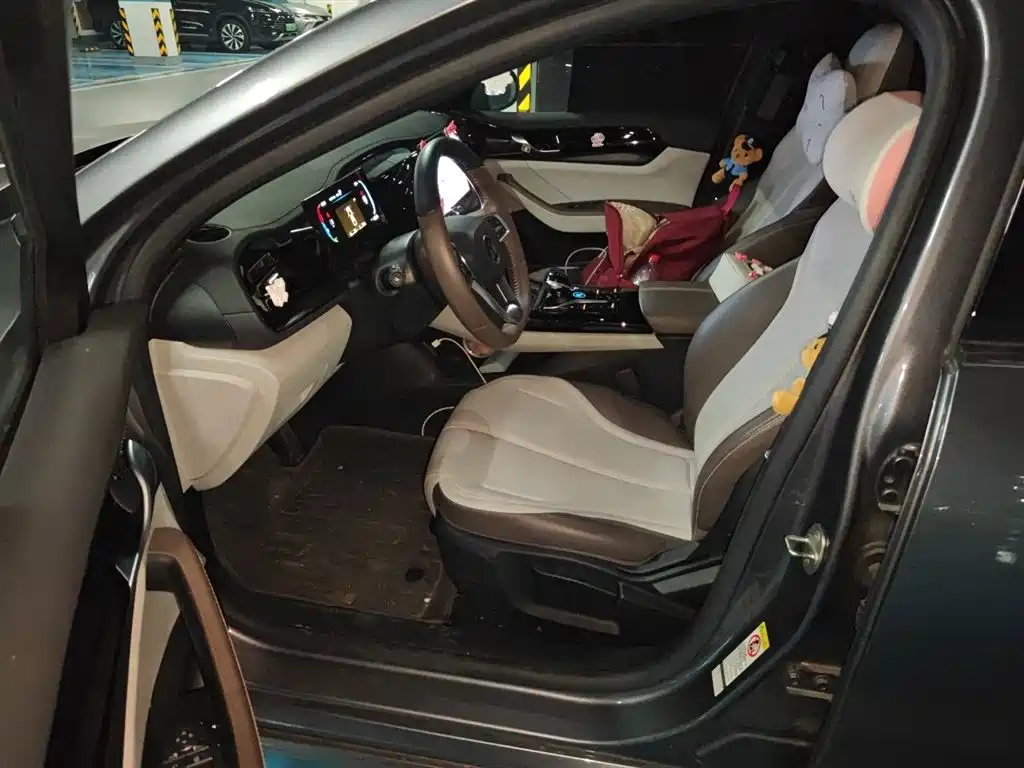 BYD Qin PLUS 2024 Glory Edition DM-i 55KM Leading фото 8