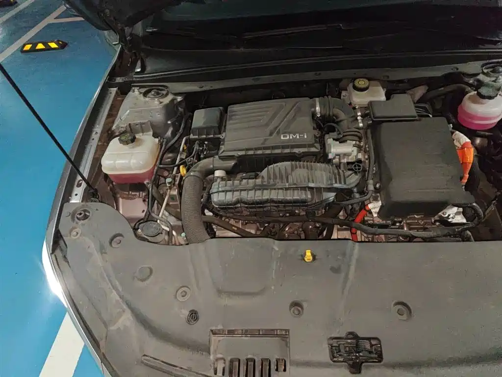 BYD Qin PLUS 2024 Glory Edition DM-i 55KM Leading фото 21