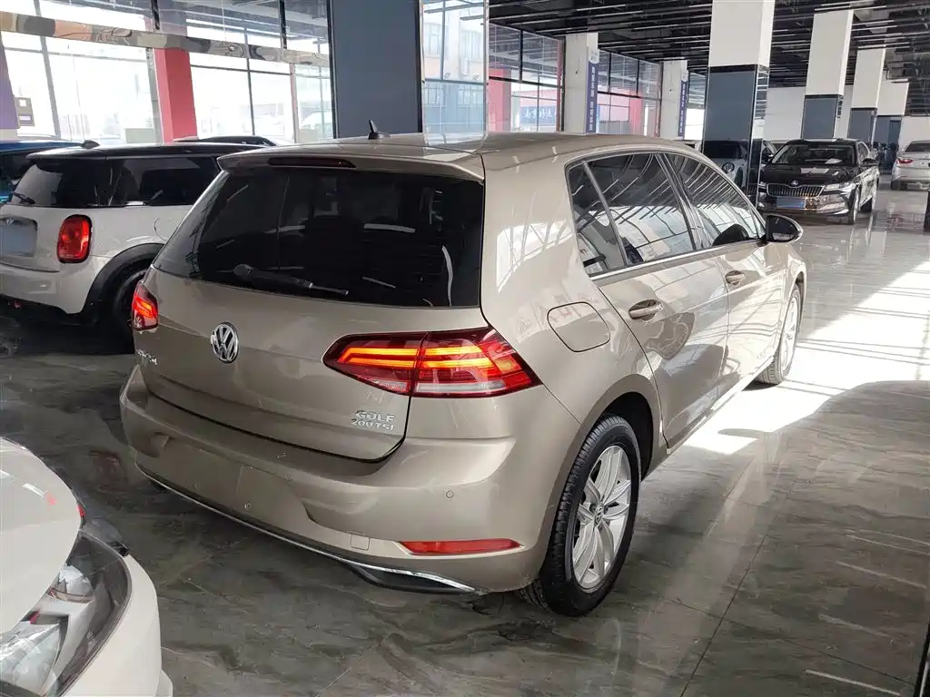 Volkswagen Golf 2019 200TSI DSG Comfort Progressive China VI фото 7