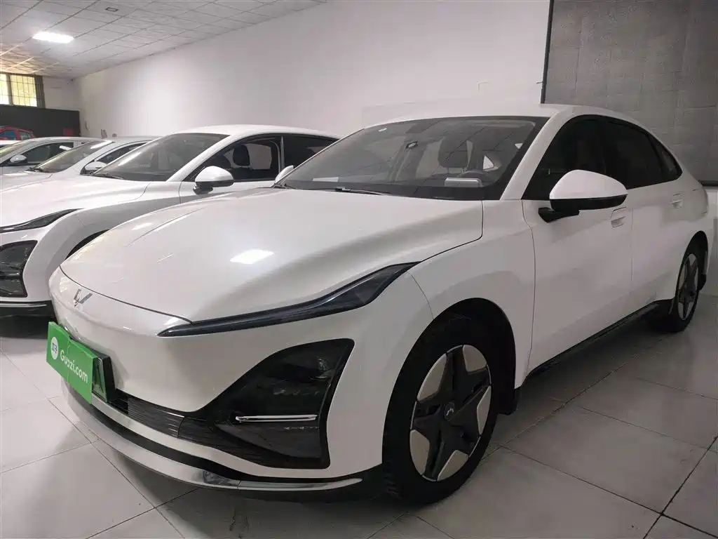 Фото 2 - Wuling Motors Wuling E5