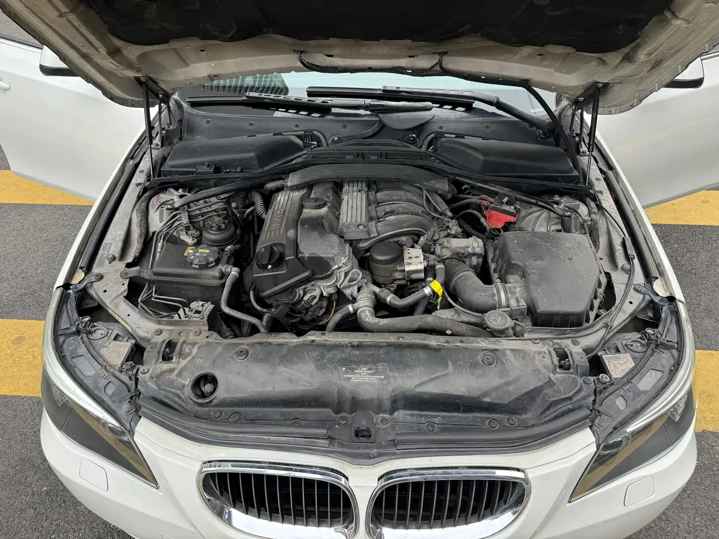BMW 5 Series 2009 520Li Premium фото 16