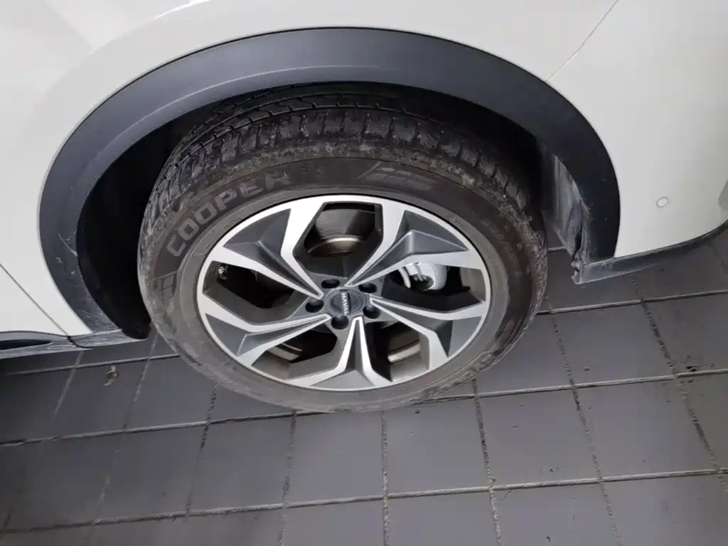 Haval Xiaolong MAX 2025 2025 Hi4 165 Ultra Smart Drive Edition