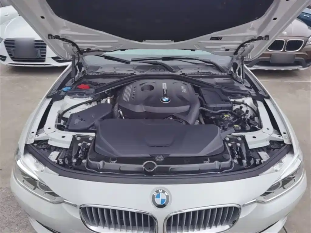 BMW 3 Series 2019 320Li Fashion Type фото 20