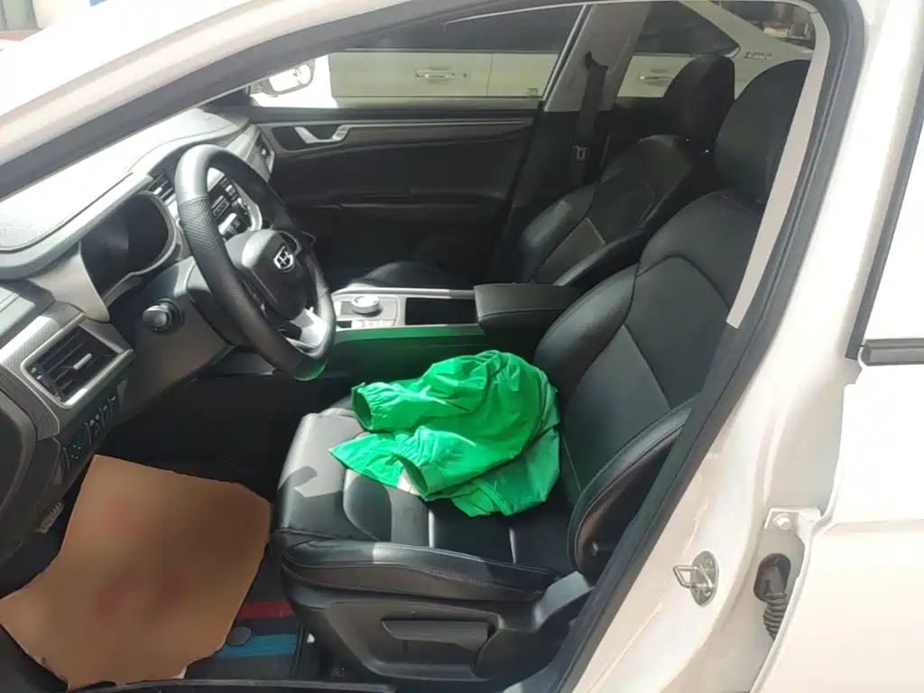 Geely Emgrand New Energy 2021 2021 EV Pro Ride-hailing Edition