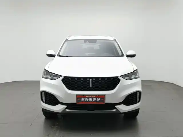 WEY VV6 2018 2.0T 2WD Flagship China V — фото 3