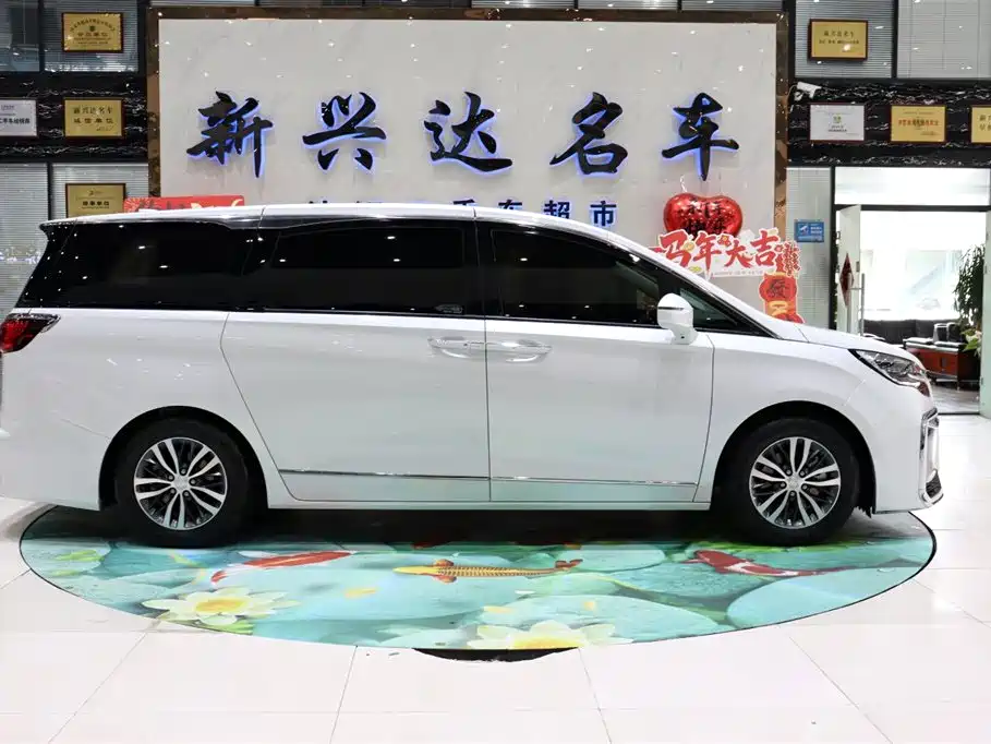 Buick GL8 2021 ES Landlord 653T Premium фото 4