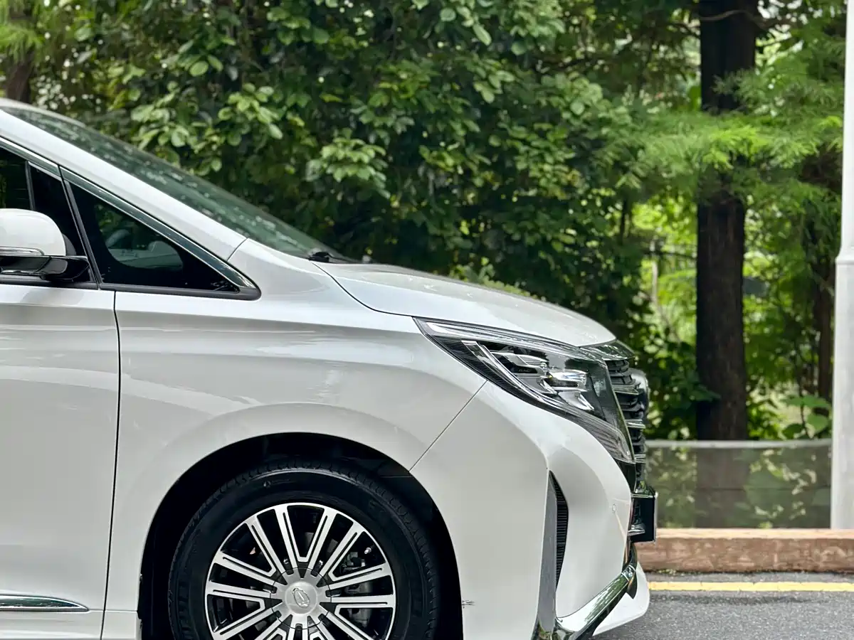 GAC Trumpchi Trumpchi M8 2021 Leading Show Series 390T Ultimate Edition фото 12
