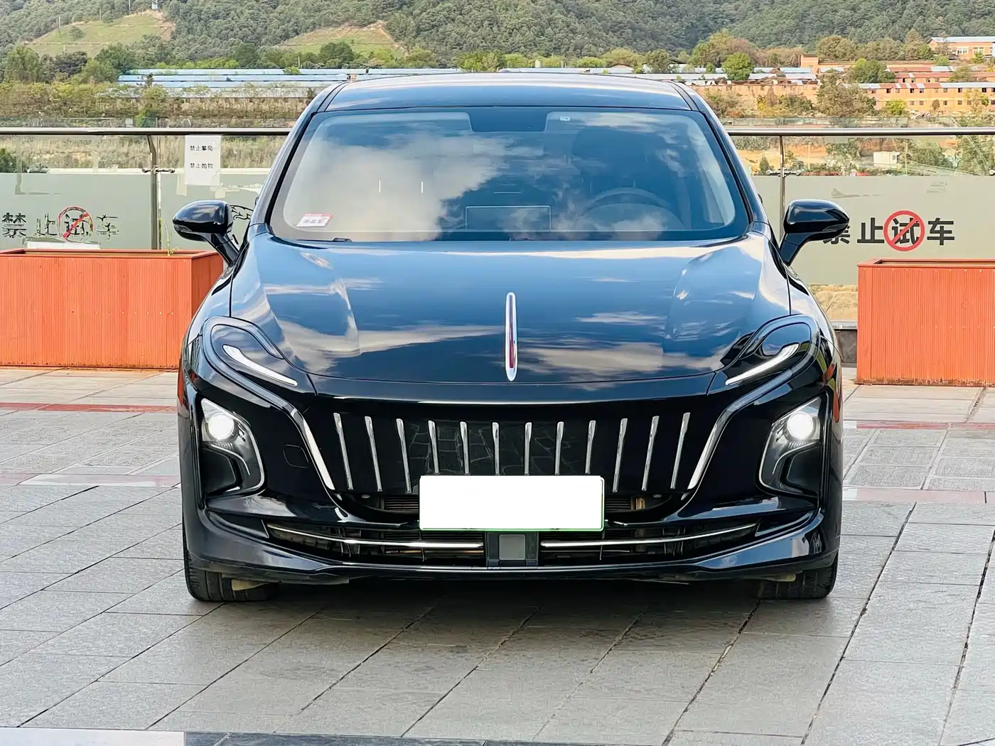 Hongqi HONGQI E QM5
