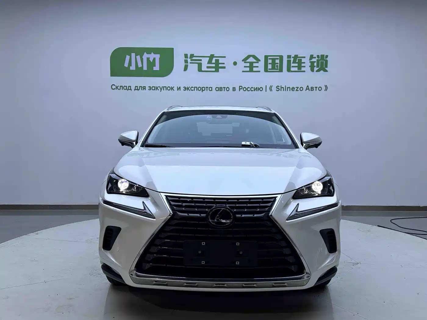 LEXUS NX