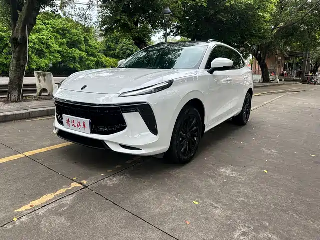  Dongfeng Fengxing Fengxing T5 EVO 2021 1.5TD DCT Diamond Edition