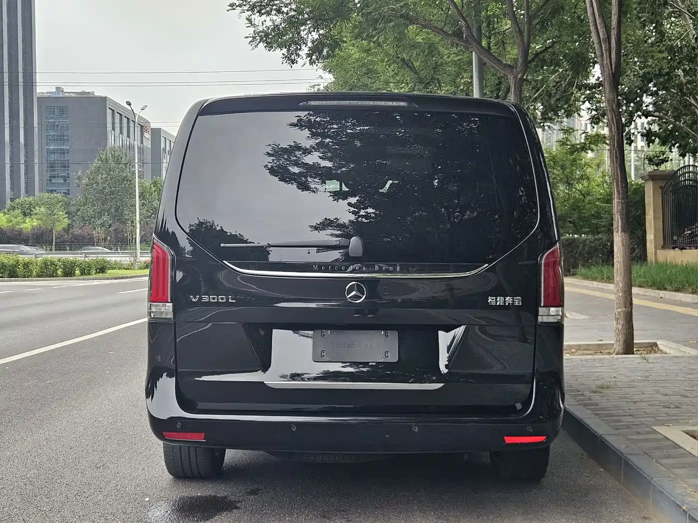 Mercedes-Benz V-Class 2025 2024 V 300 L Long Wheelbase Luxury Edition
