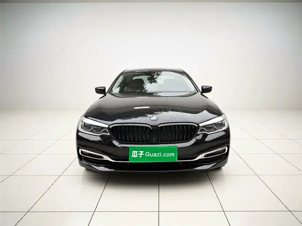 BMW 5 Series 2020 530Li Leading Luxury Package фото 24