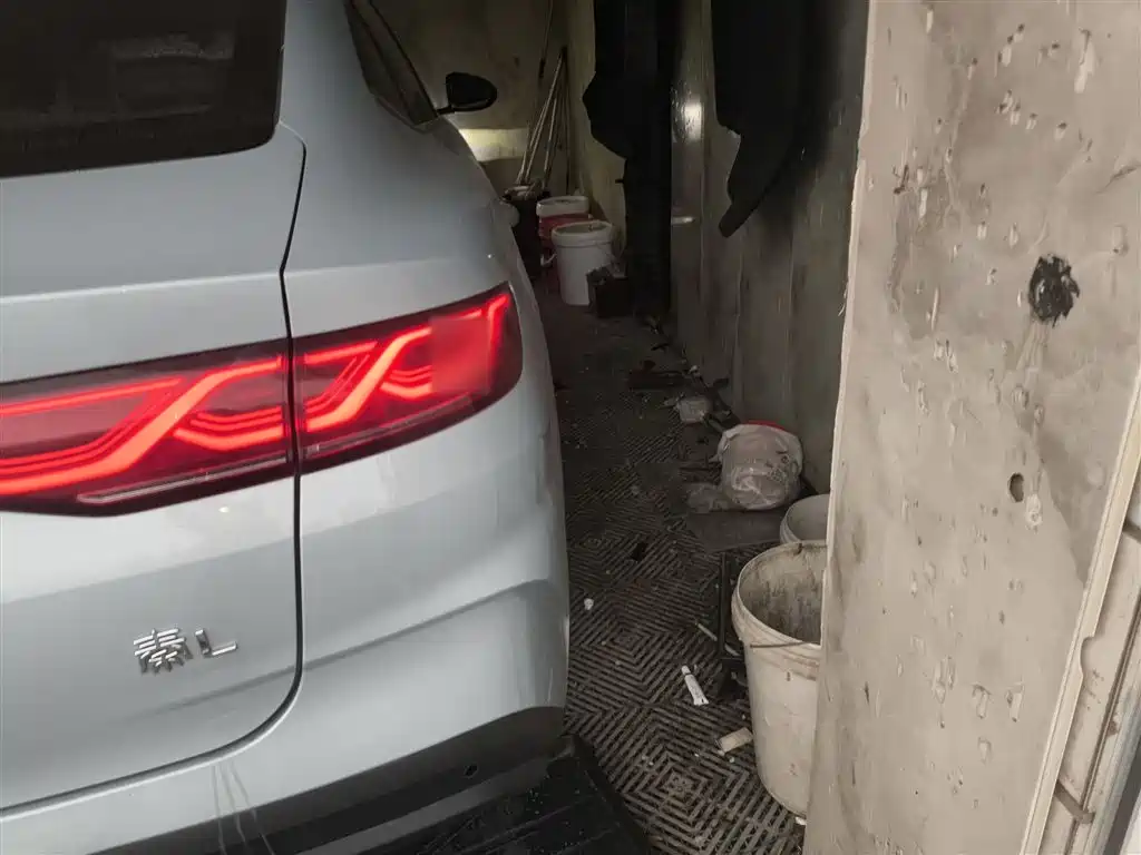 BYD Qin L 2024 DM-i 80KM Leading Edition фото 8