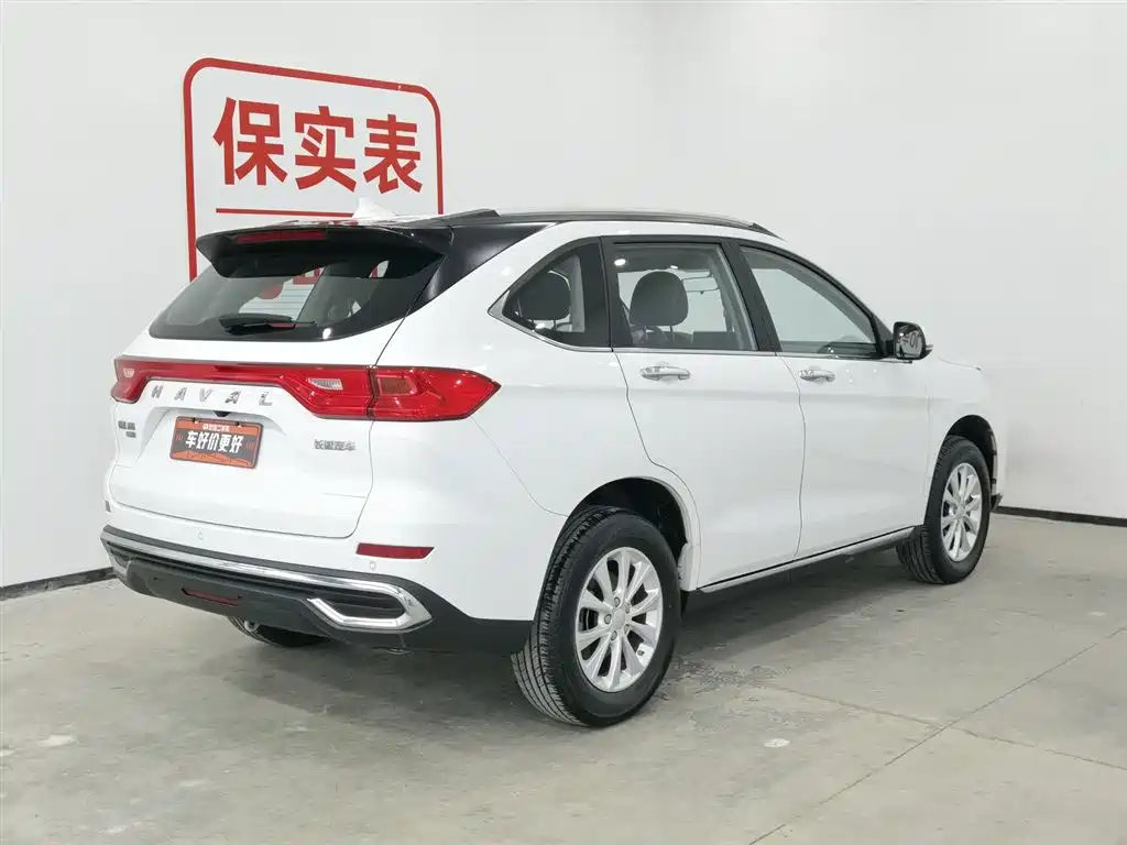 HAVAL M6