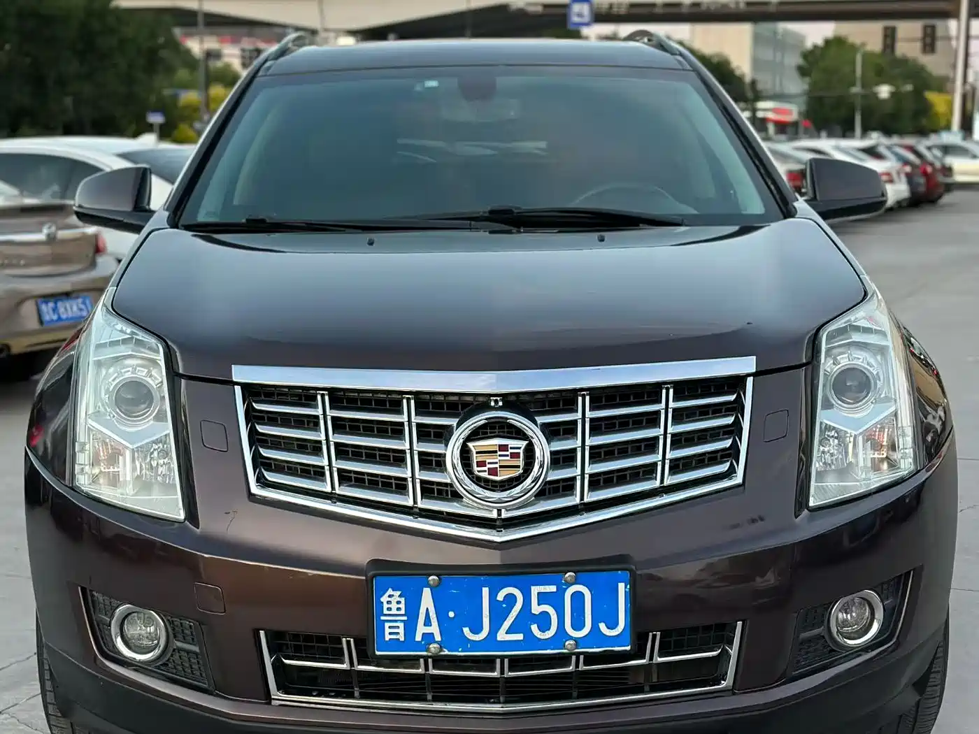 Cadillac SRX 2014 3.0L Comfort Model фото 2