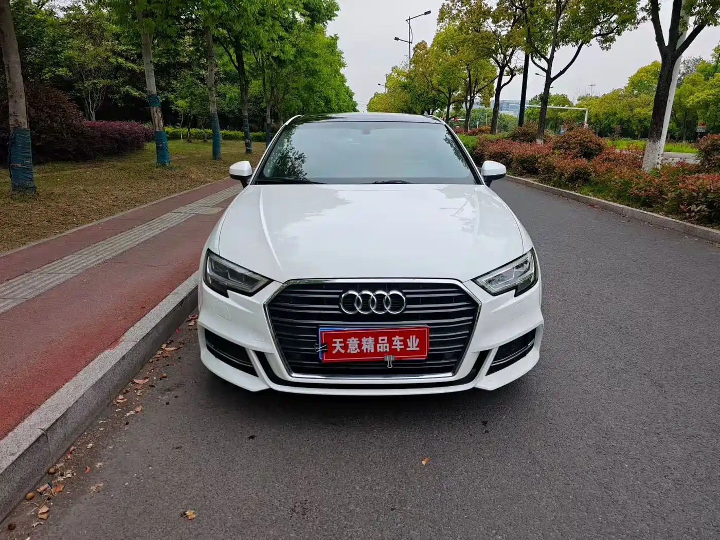 Audi A3 2019 Sportback 35 TFSI Fashion China VI фото 2