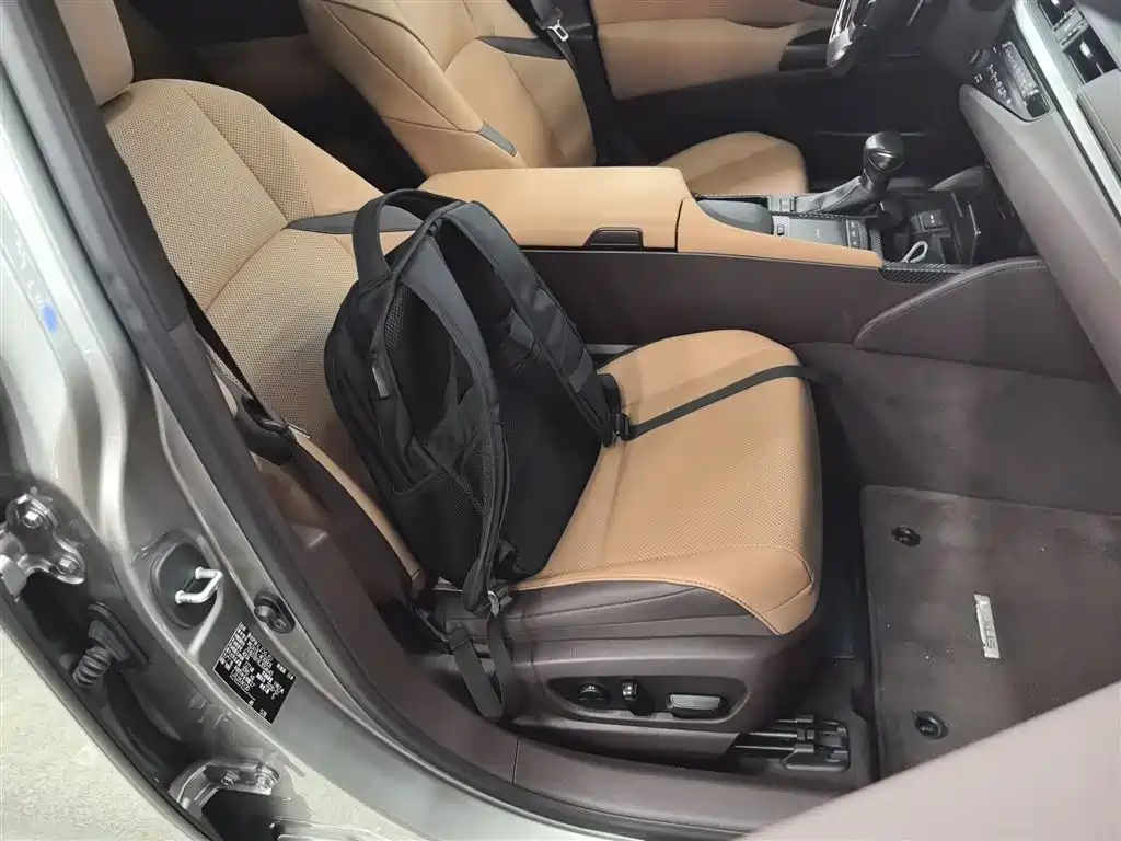 Lexus ES 2020 200 Luxury фото 20