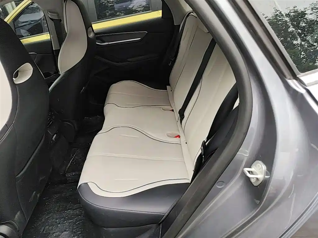 BYD Destroyer 05 2024 Glory Edition DM-i 55KM Luxury фото 24