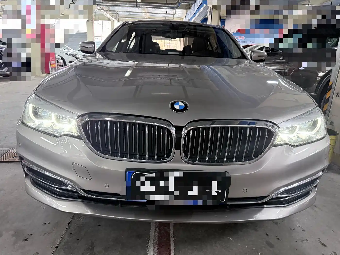 BMW 5 Series 2019 530Li Leading Luxury Package фото 2