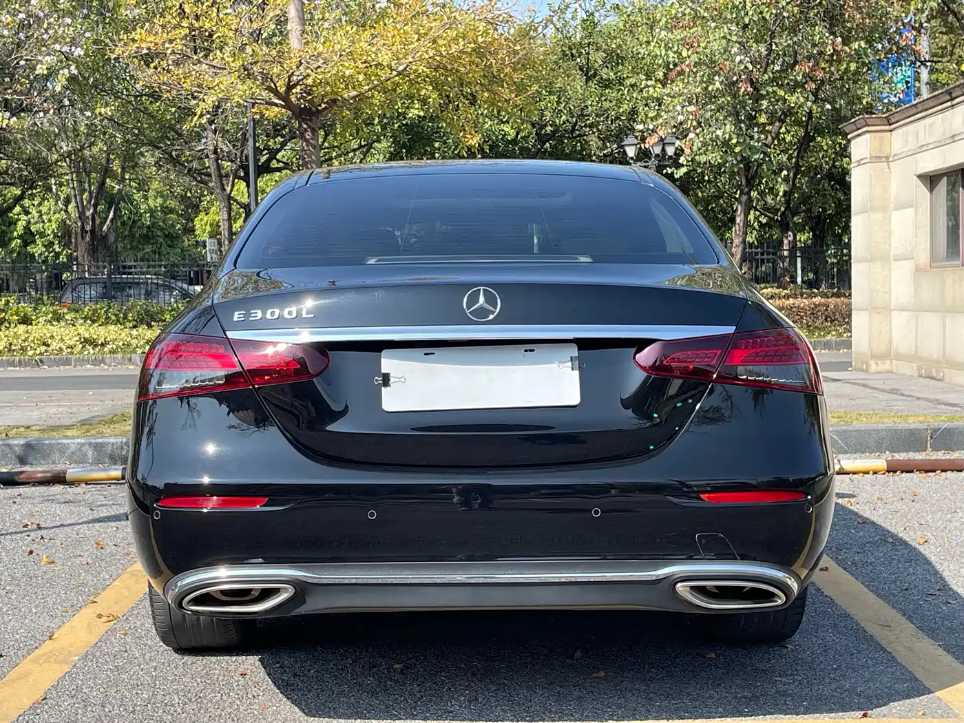 Mercedes-Benz E-Class 2022 Second Facelift E 300 L Luxury фото 5
