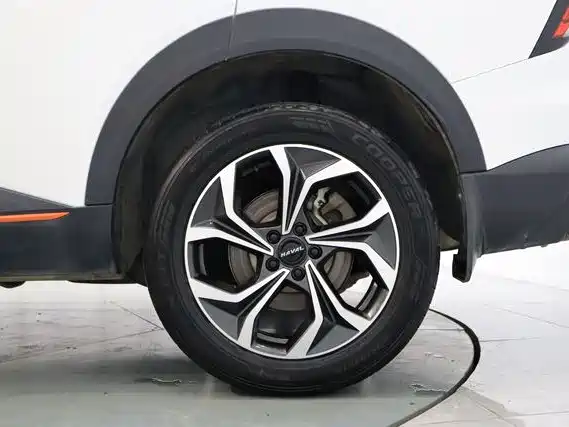 Haval Shenshou 2022 1.5T Smart Enjoyment Edition фото 10