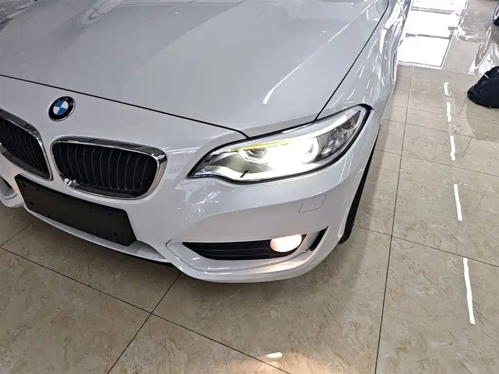 BMW 2 Series (Import) 2017 220i Leading фото 24