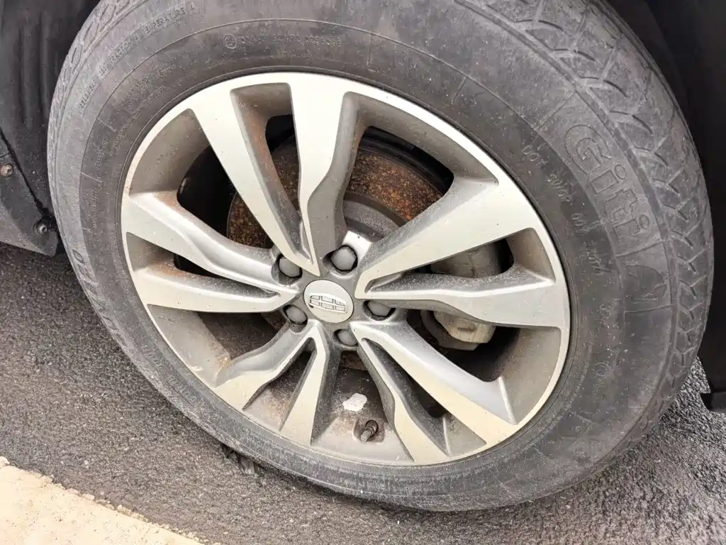 Фото 24 - Geely Atlas