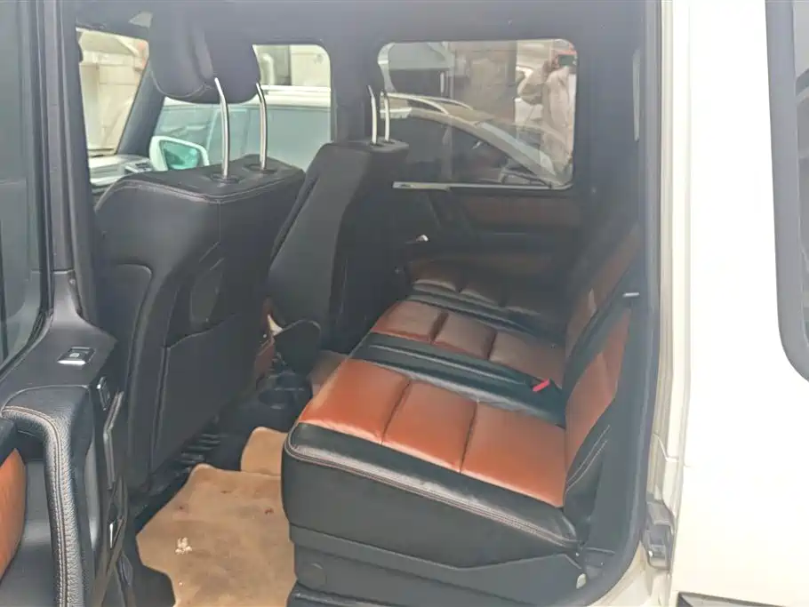 Mercedes-Benz G-Class 2017 G 500 фото 11