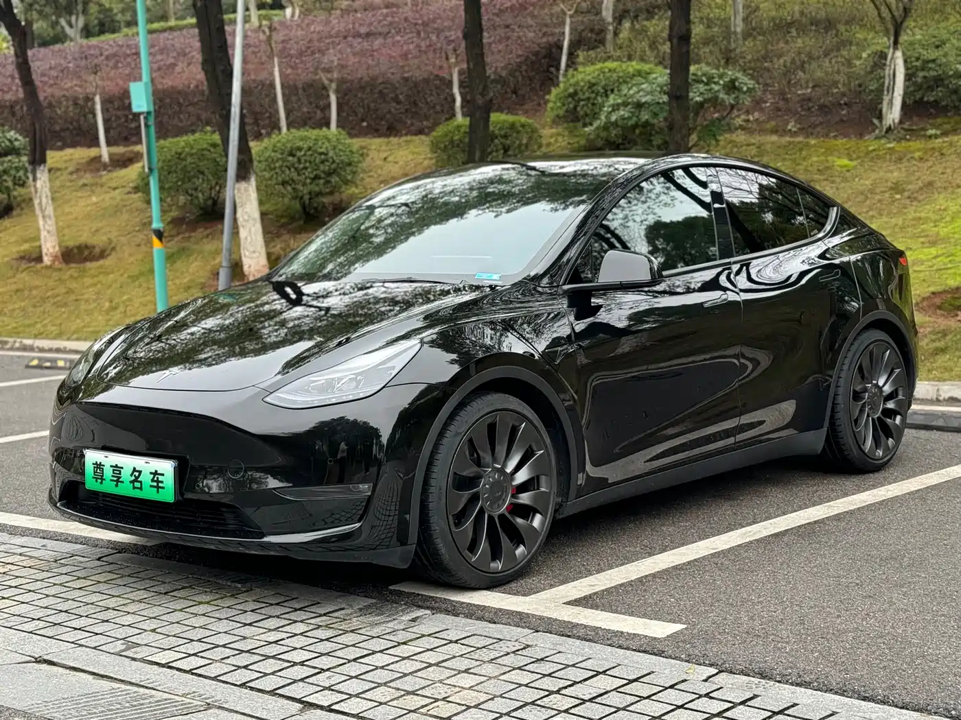 TESLA MODEL Y