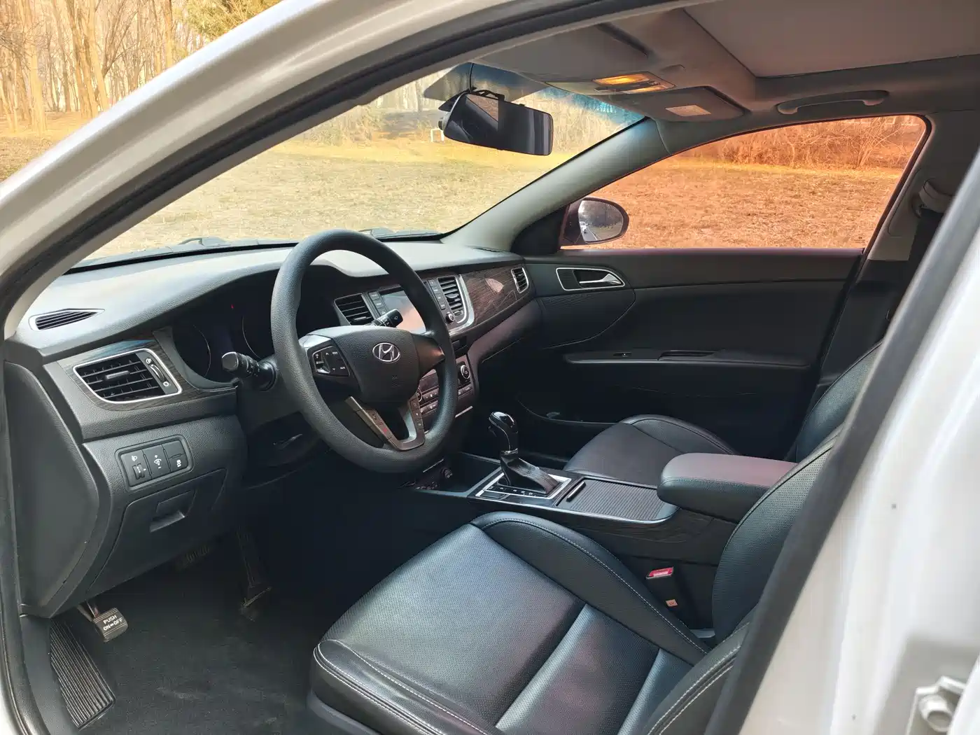 HYUNDAI NAME PICTURE