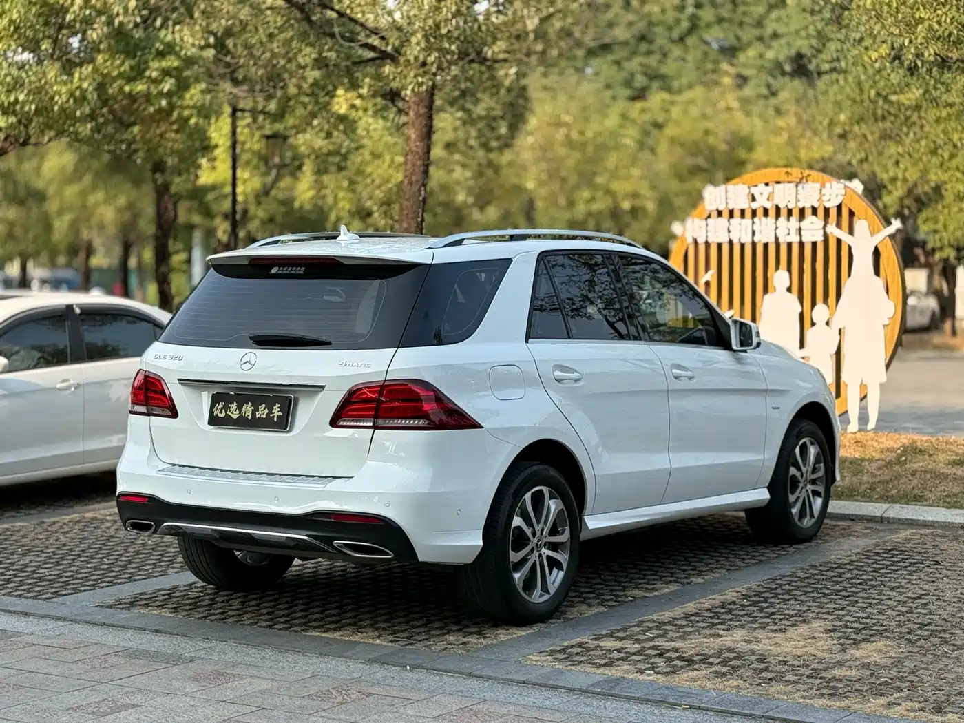Mercedes-Benz GLE 2017 GLE 320 4MATIC Dynamic фото 23
