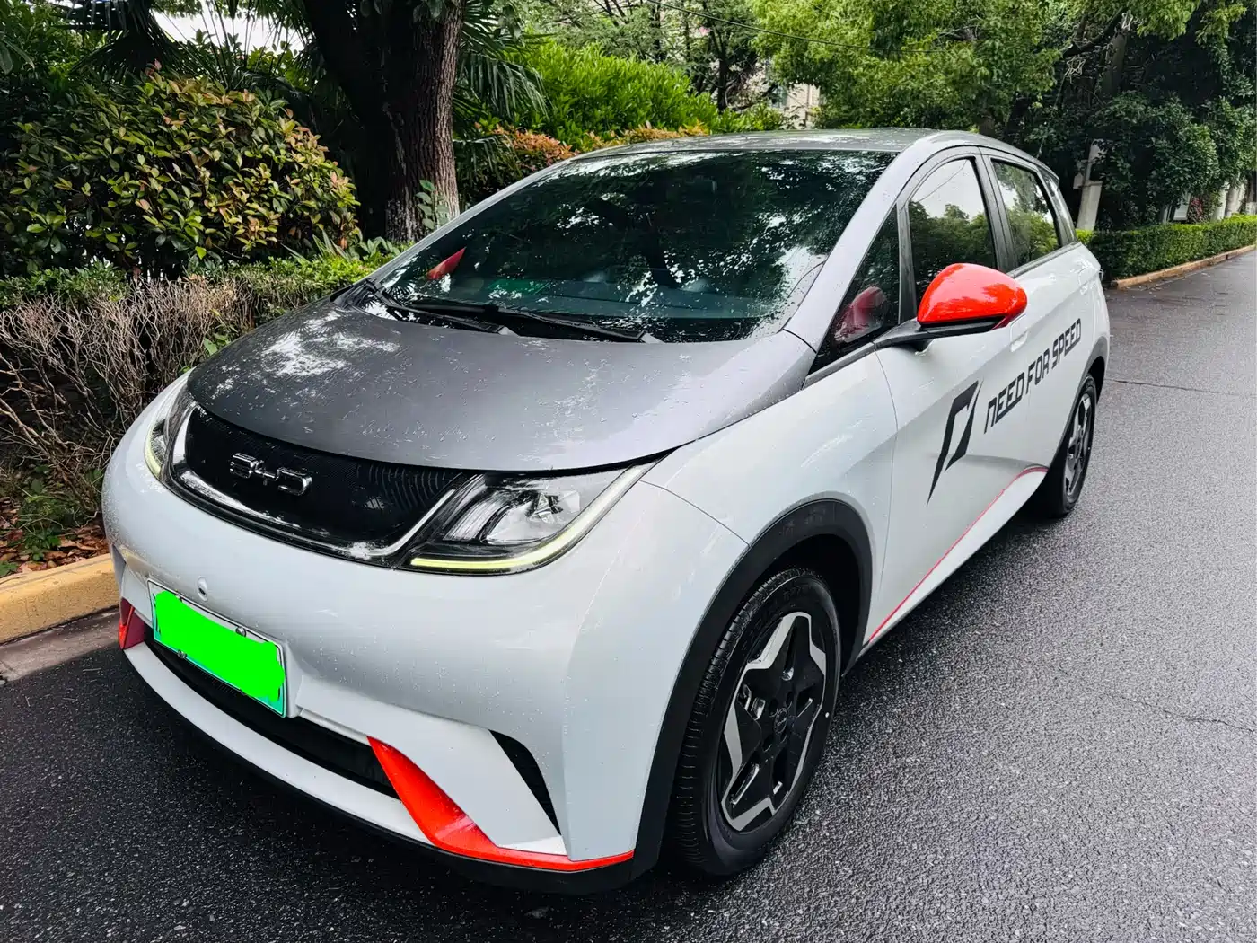 BYD Dolphin 2023 420km Freedom Edition