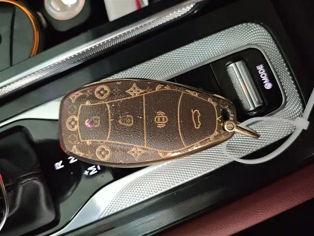 Hongqi H5 2023 2.0T Auto Smart Connect Flag Comfort фото 9