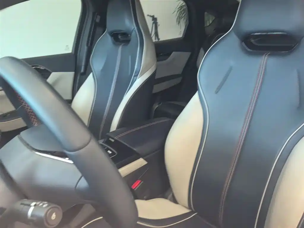BYD Qin PLUS 2021 EV 400KM Luxury Model фото 15