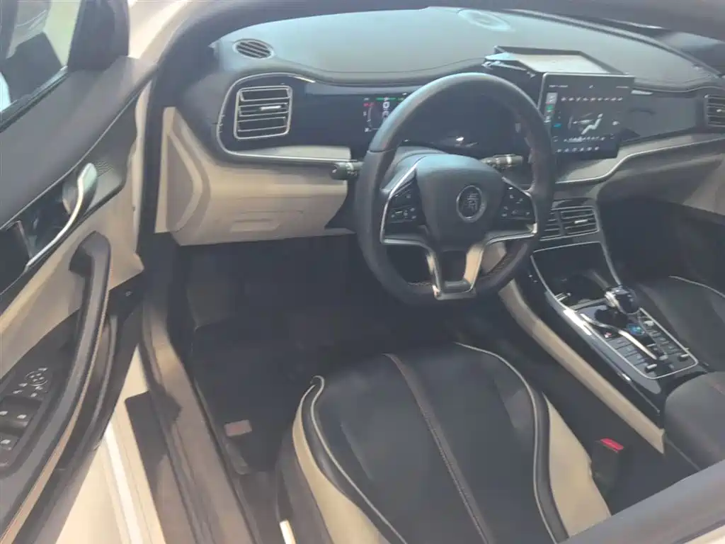 BYD Qin PLUS 2021 EV 400KM Luxury Model фото 16