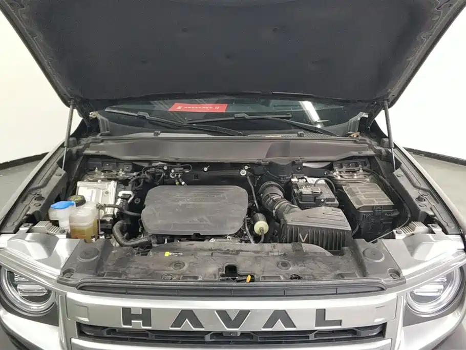 Haval Big Dog 2024 1.5T DCT Border Collie Edition фото 10