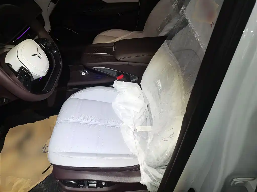 Hongqi EH7 2024 640 Pro+ AWD Edition фото 15