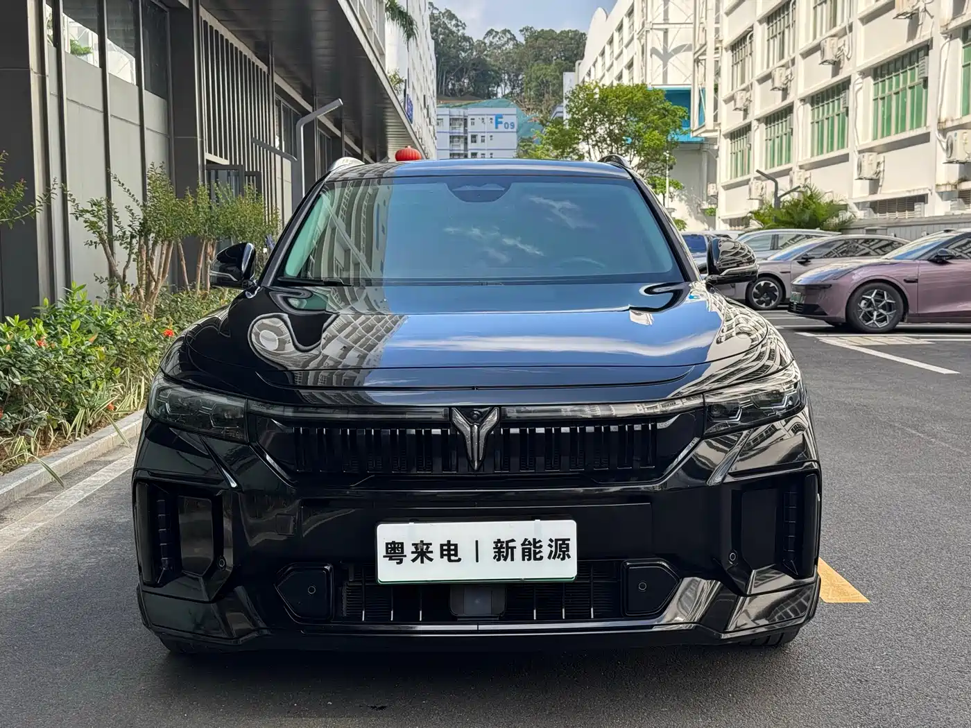 Voyah Auto VOYAH FREE 2024 Ultra Long Range Intelligent Driving Edition фото 2