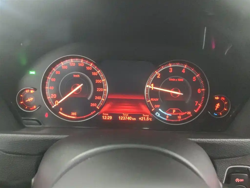 BMW 3 Series 2019 320Li M Luxury Package фото 12