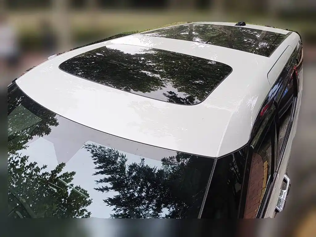 Photo 6 - ZEEKR 009