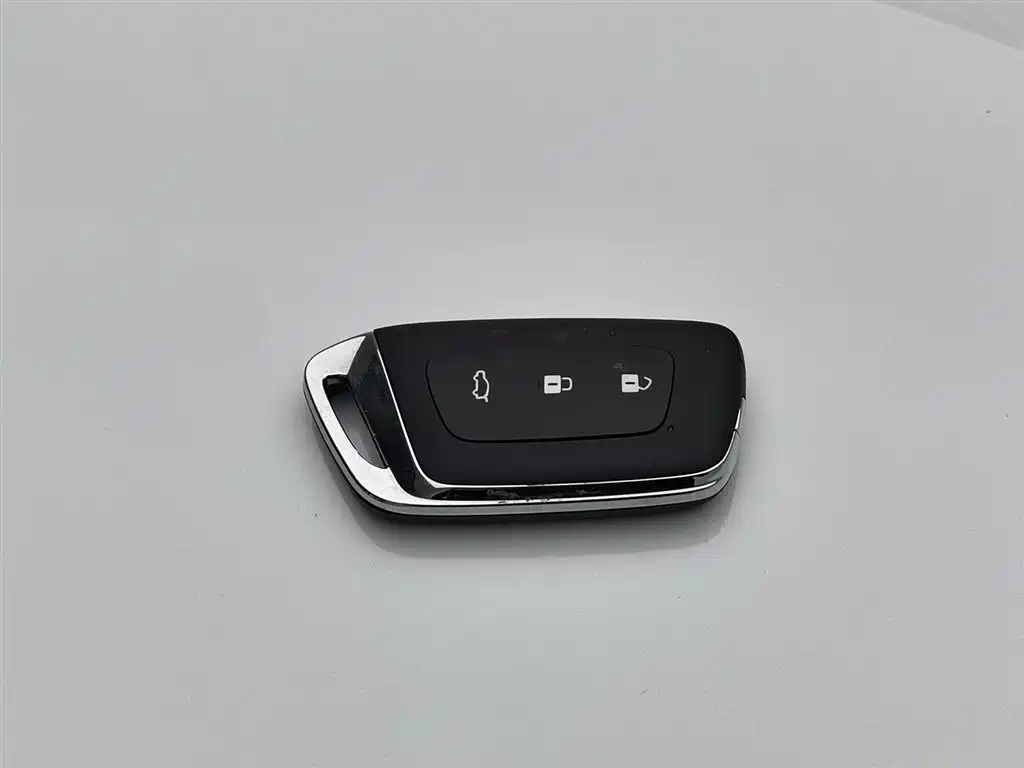 Baojun Valli 2021 1.5T Yili Ranch CVT Luxury фото 19