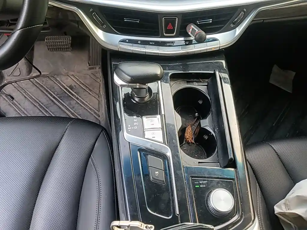 Geely Borui 2022 2021 1.8T Pilot Edition+