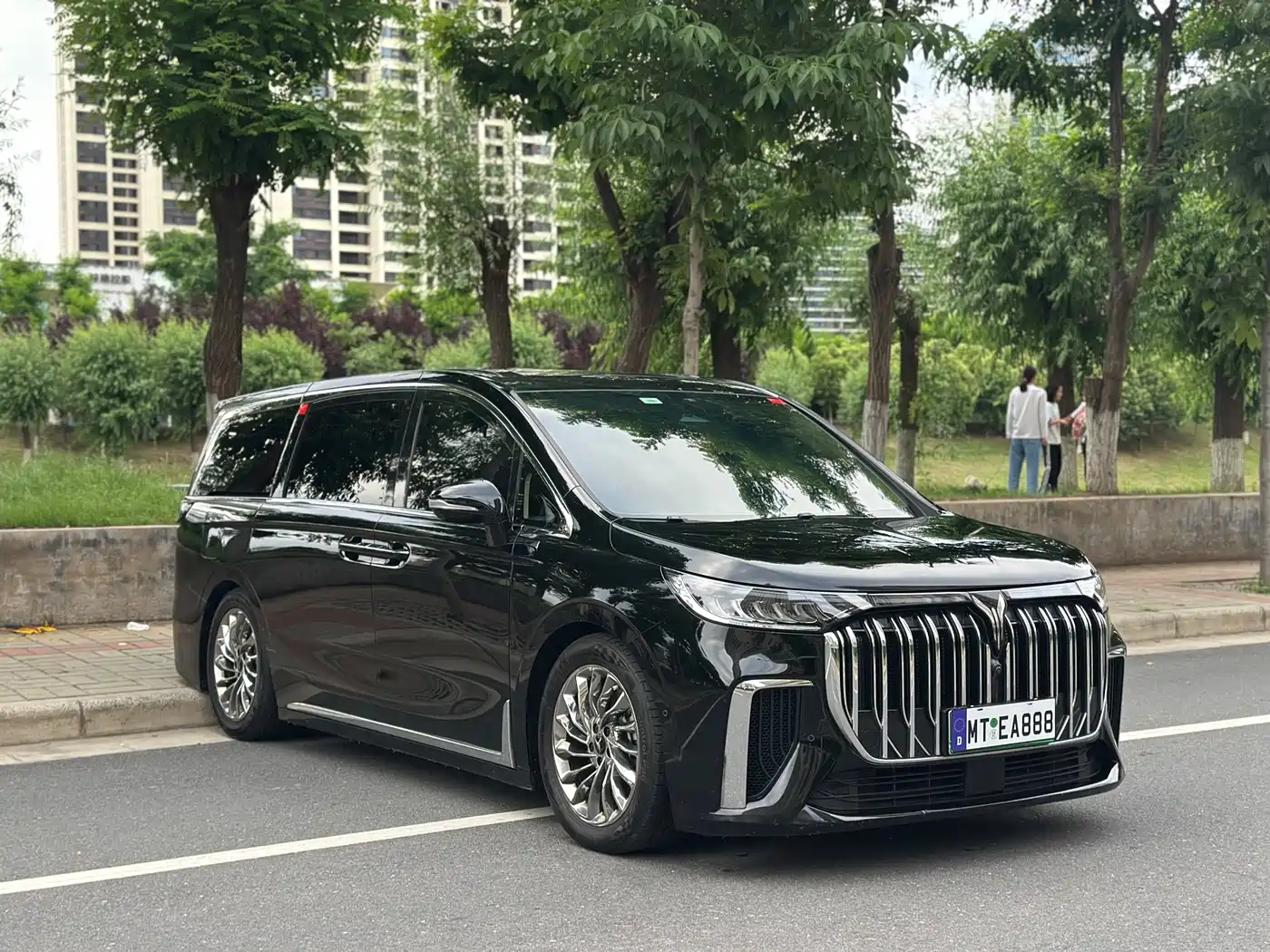 Voyah Auto Voyah Dreamer 2024 PHEV Extended Range Flagship Edition фото 3