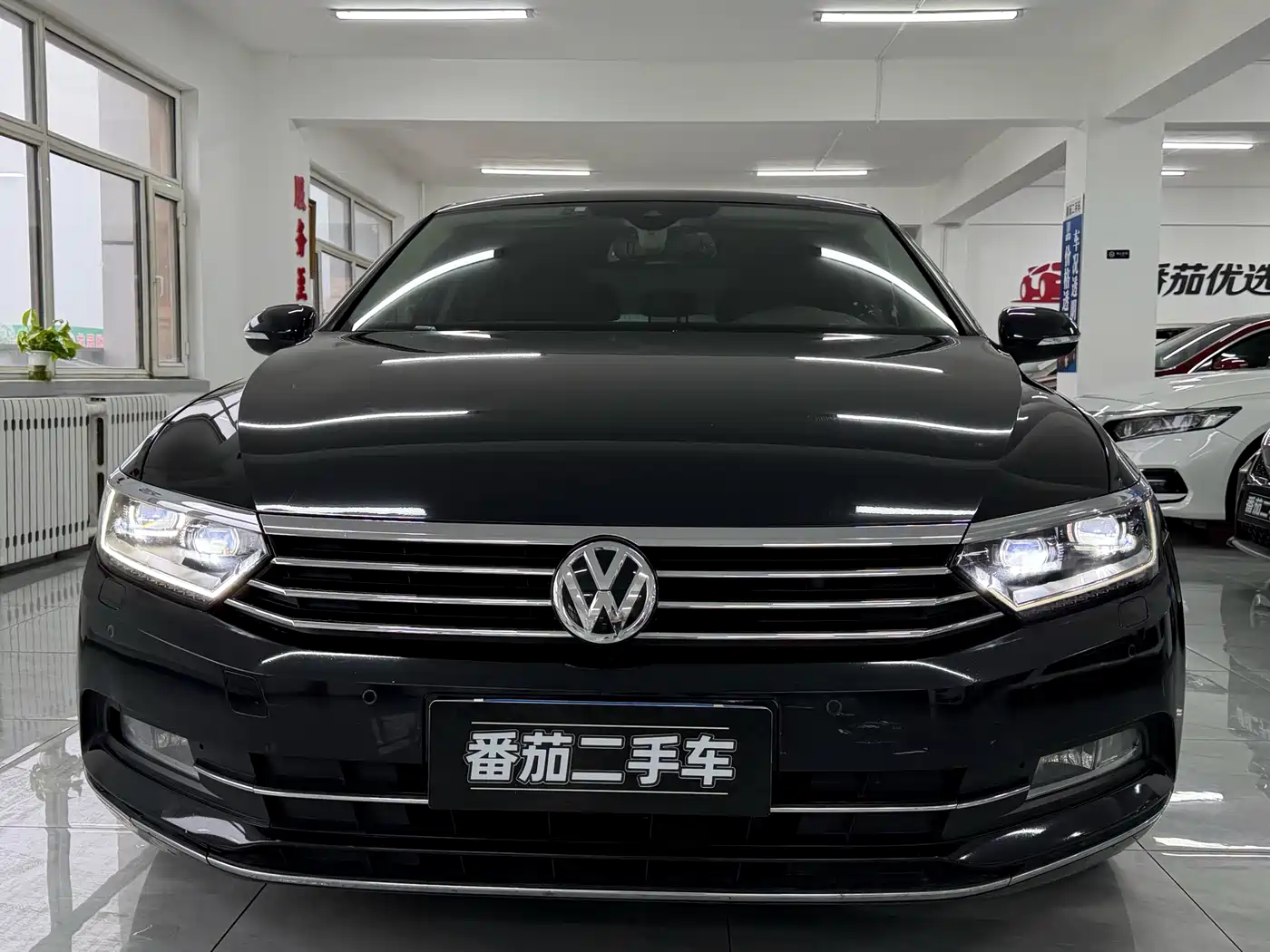 Volkswagen Magotan 2019 330TSI DSG Premium China V фото 2