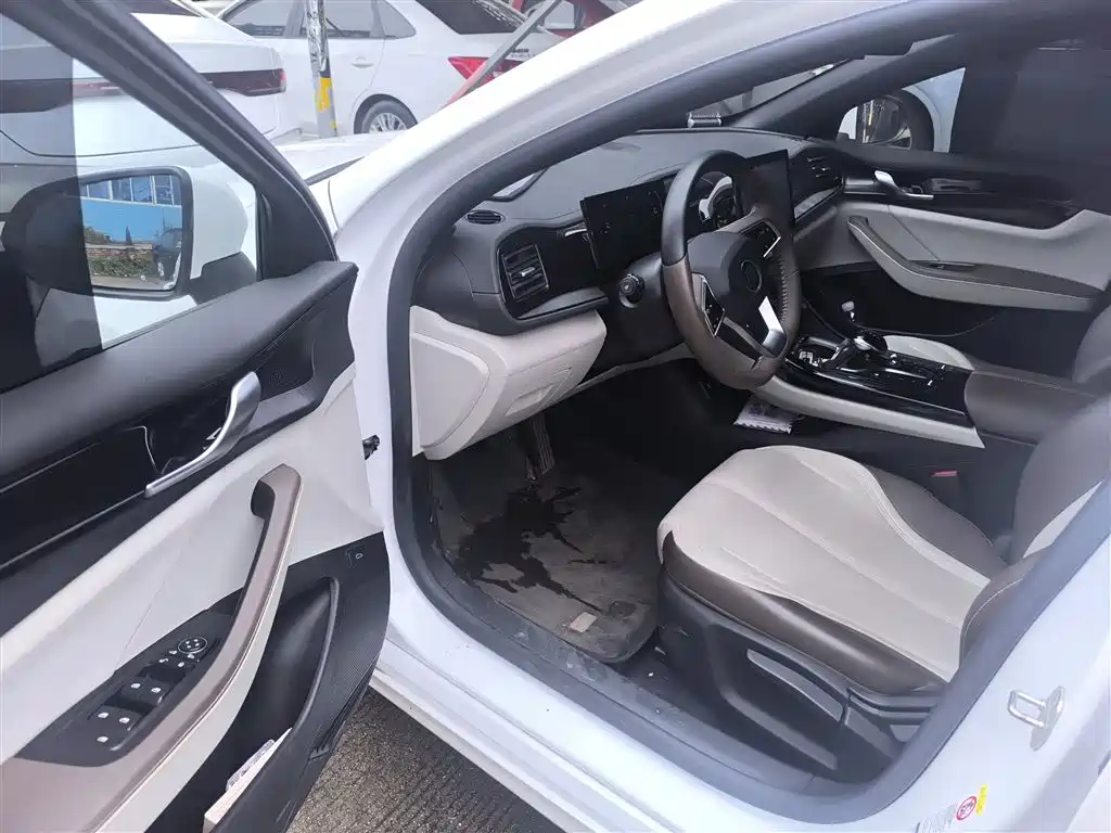 BYD Qin PLUS 2023 Champion Edition DM-i 55KM Leading фото 16
