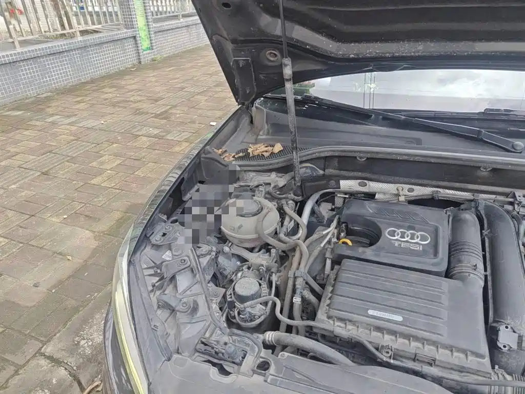 Audi Q2L 2021 35 TFSI Progressive Dynamic фото 21