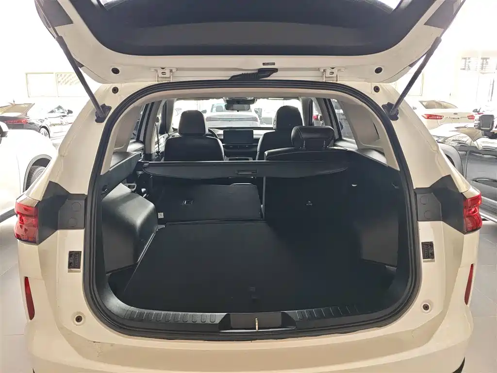 Haval H6 2021 3rd Generation 1.5T Auto 2WD Max фото 19