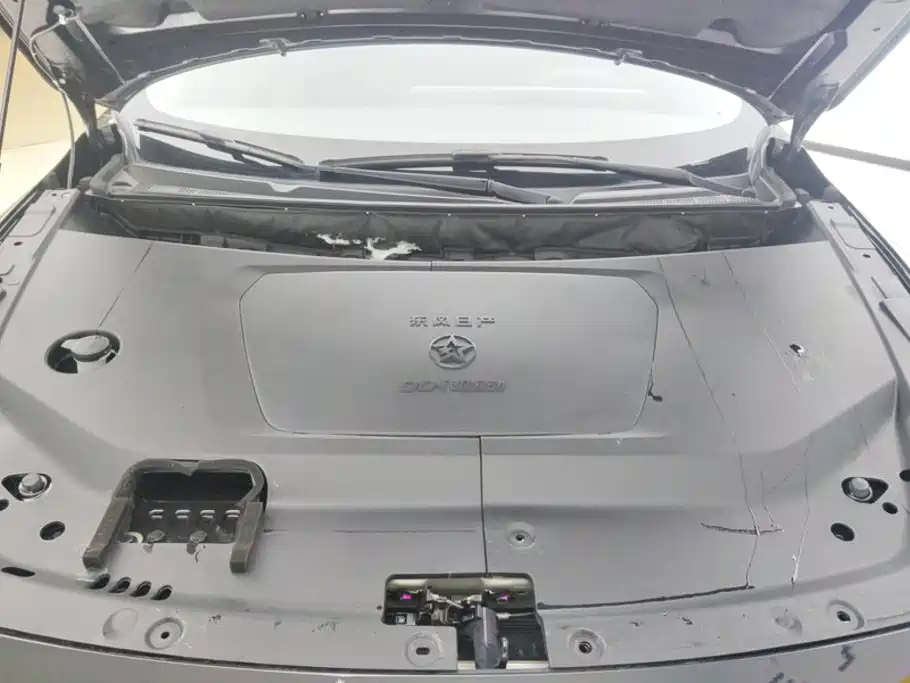 Venucia DaV DD-i 2024 2023 110km iE Edition