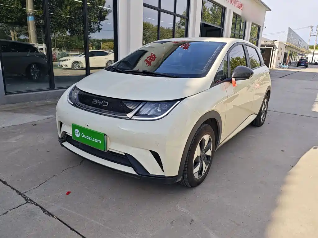 BYD Dolphin 2026 2025 420km Freedom Edition