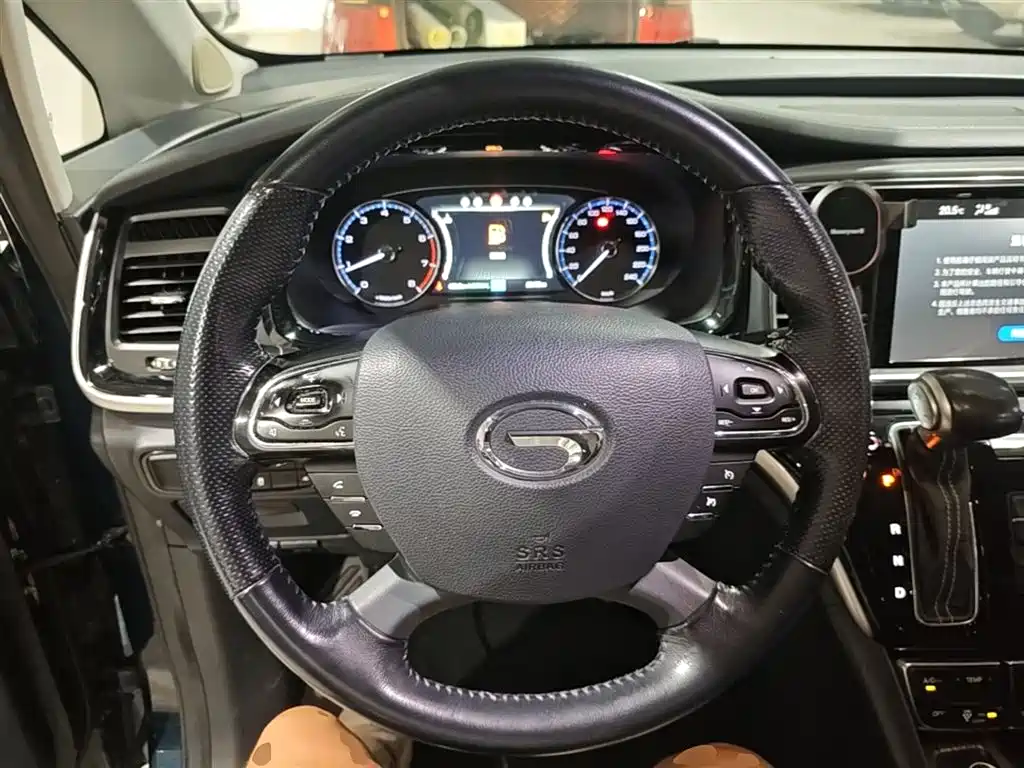 GAC Trumpchi Trumpchi M8 2019 320T Ultimate Edition фото 11